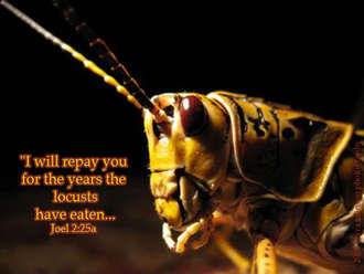 locust cankerworm caterpillar hath wasted eaten left which months days years